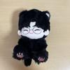 [USED] Seventeen Wonwoo Stuffed Toy