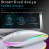 VAORLO 2.4G RGB Wireless Mouse Computer Mouse Silent Ergonomic Rechargeable Mice with LED Optical Backlit USB Mice for PC Laptop