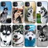 Applicable To IPhone16 Mobile Phone Case Soft Case New XR Animal Puppy Funny Husky Mobile Phone Case Dogs