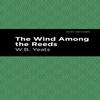 The Wind Among the Reeds by William Butler Yeats Paperback Book 9781513270838