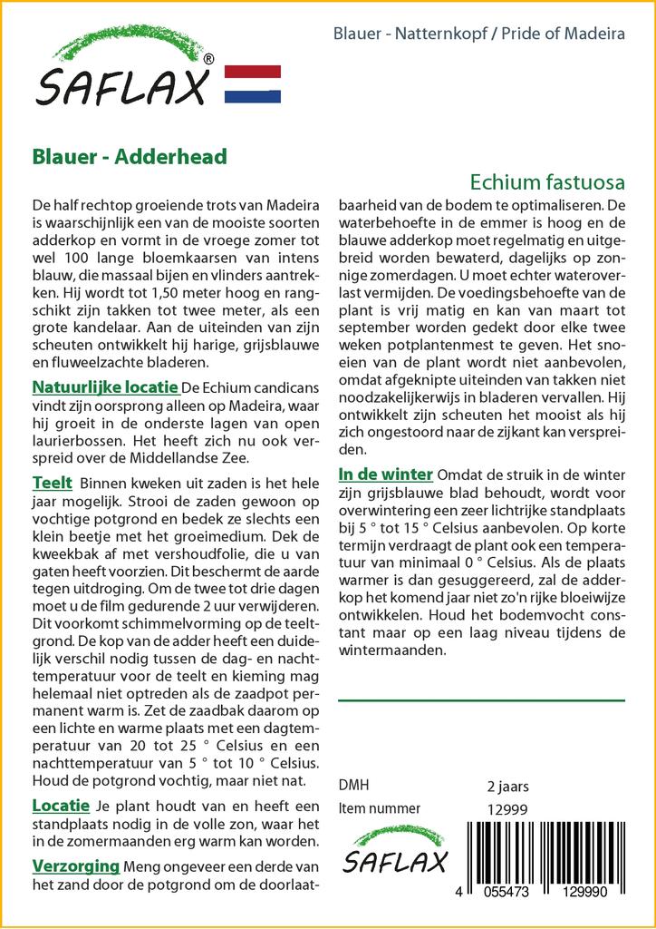 SAFLAX Гордость Мадейры - 100 семян - Echium fastuosa