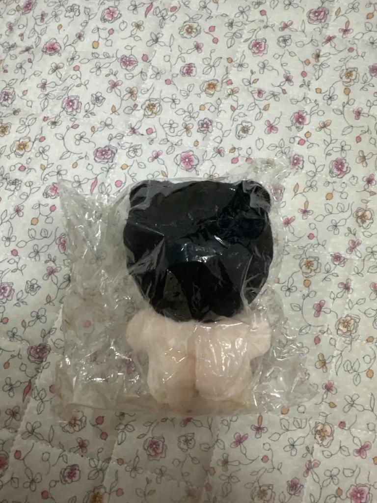 ENHYPEN Park Jung-sun doll JJ