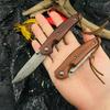 Damascus Steel Folding Knife Sharp Edged Fruit Knife Sour Branch Small Straight Knife with Wooden Handle