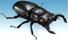 Mushiking Sound Figure Tarandus Shiny Stag Beetle