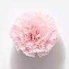 10 Pcs Artificial Carnation Flowers Handmade Faux Silk Flowers Fake Carnation Blooms for DIY Crafts Wedding Baby Showers Decorations