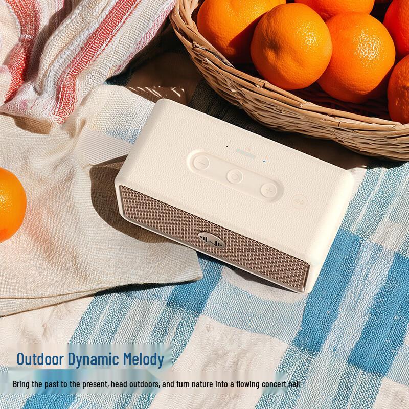 Портативная беспроводная Bluetooth-колонка Weierjing H130 (Китайская версия)