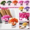 Simulation Green Plant Potted Ornaments Plant Combination Indoor Desktop Ornaments Simulation Artificial Flower Plant Bonsai