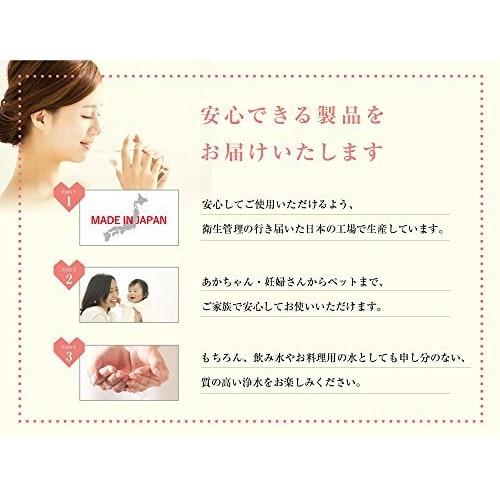 [Generic] Replacement Cartridges for Takagi Water Purifiers [Standard Type/Set of 2] [Compatible Models/Please Check] JA/JG/JY Series (Excluding JA