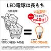 Panasonic Panasonic LED Light Bulb Premier