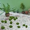 12 Pcs Artificial Moss Stones Moss Ball Small Middle Big Moss Rock Green Moss Balls Decorative