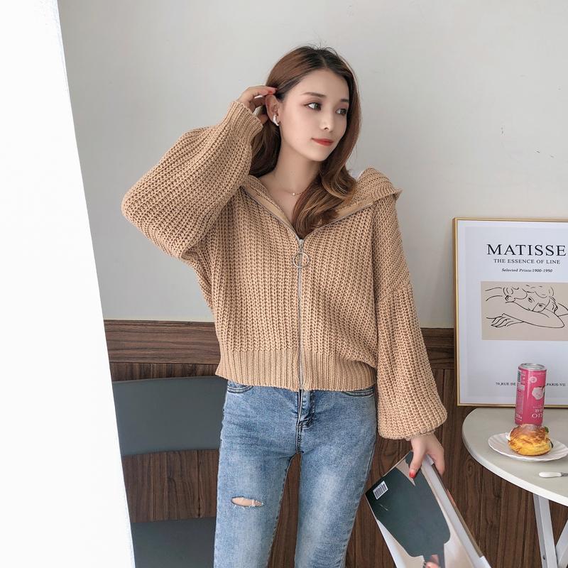 Осенне-зимний кардиган с капюшоном, короткий, утолщенный, верхняя одежда, простая и удобная женская куртка на молнии с длинным рукавом 6206