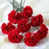 54cm Simulation Carnation Flower Real Touch Fake Plants Artificial Red Carnations  Wedding