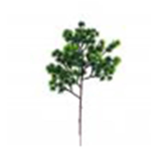 Artificial Plant Unique Lively Plastic Fake Pine Cypress Plant for Garden