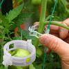 50Pcs Trellis Tomato Clips Supports Connects Plants Vegetable Fastening Clip