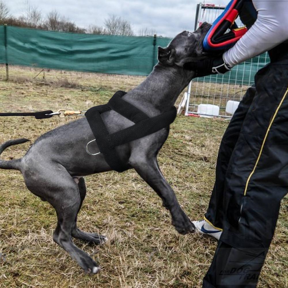 Упряжь для собак с мягкой подкладкой Упряжь для собак Pitbull Big Large Dogs Упряжь для дрессировки домашних животных Товары для ловкости домашних животных