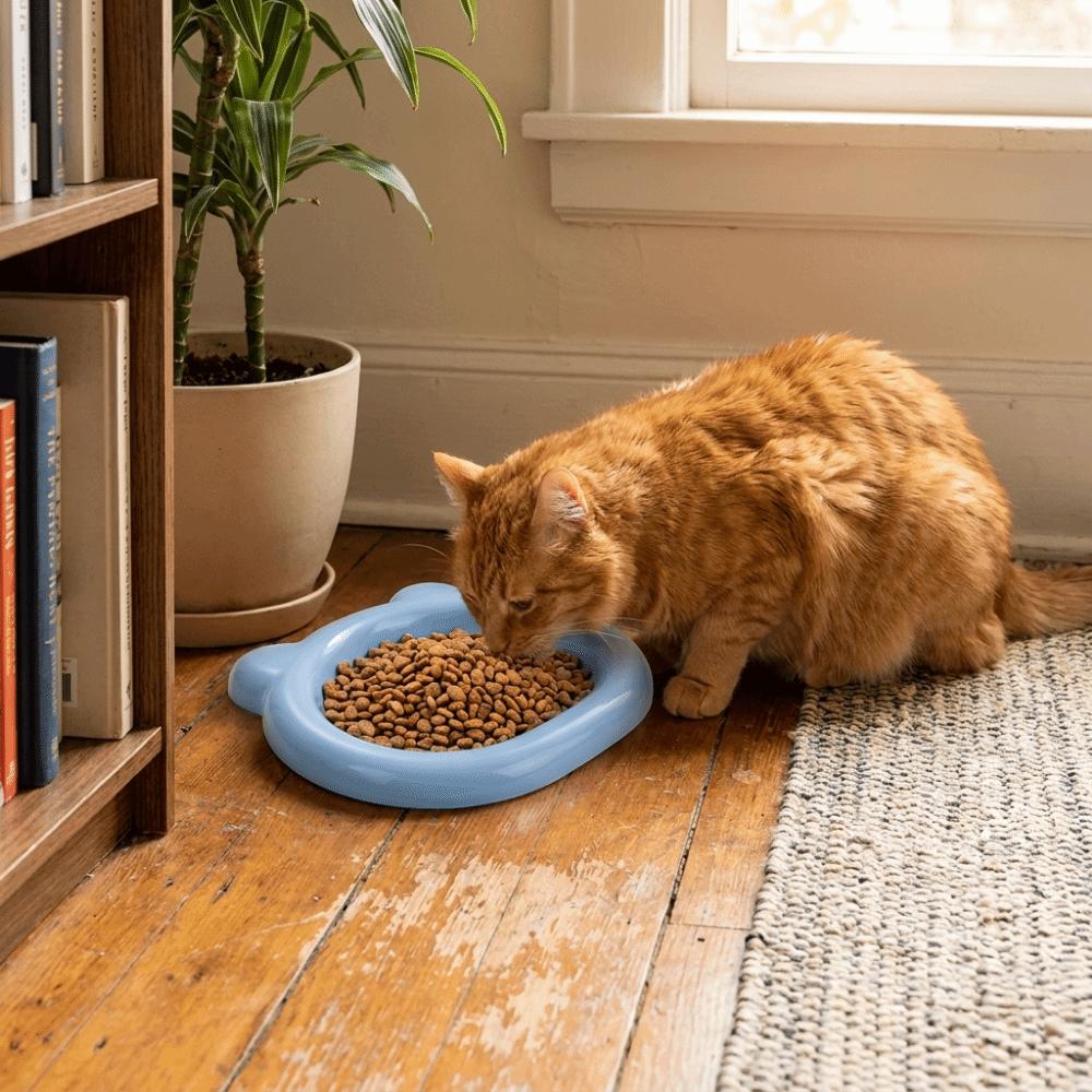 Plastic Bear Shaped Pet Plates Colorful Pet Feeding Dishes Lightweight Pet Snack Dish Travel