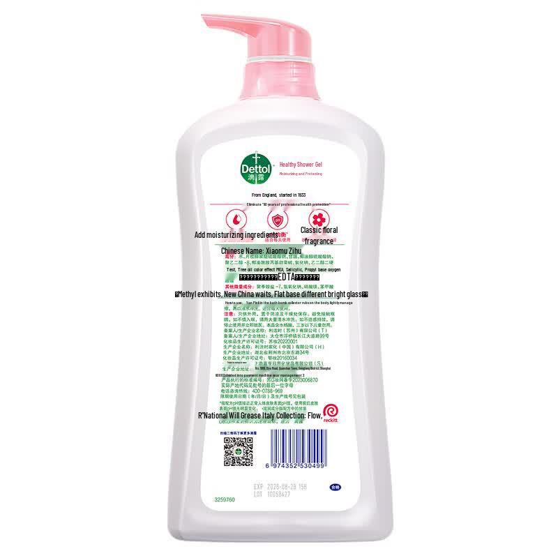 Dettol Healthy Shower Gel - Moisturizing Care