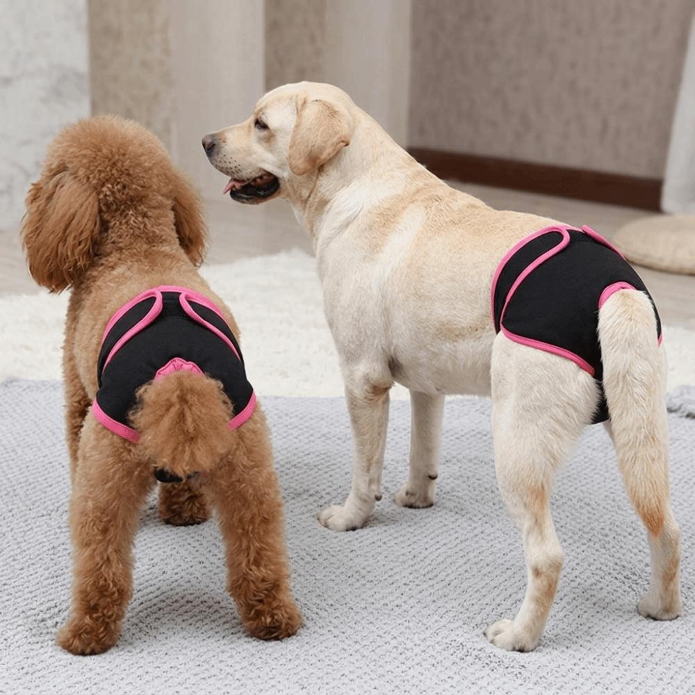 Soft Fabric Dog Sanitary Pant Adjustable Sticky Strap Pet Period Underwear Dog Estrus