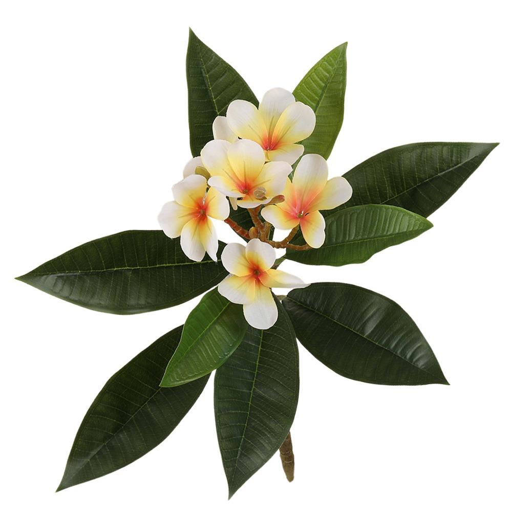 Real Touch Artificial Plumeria Flowers DIY with Green Leaves Simulation Frangipani Branch Multicolor Photo Props