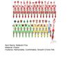Christmas Theme Multicolored Pen 0.5MM Smooth Writing Retractable Ballpoint Pen for Student Artist Christmas Stocking Fillers Office Supplies