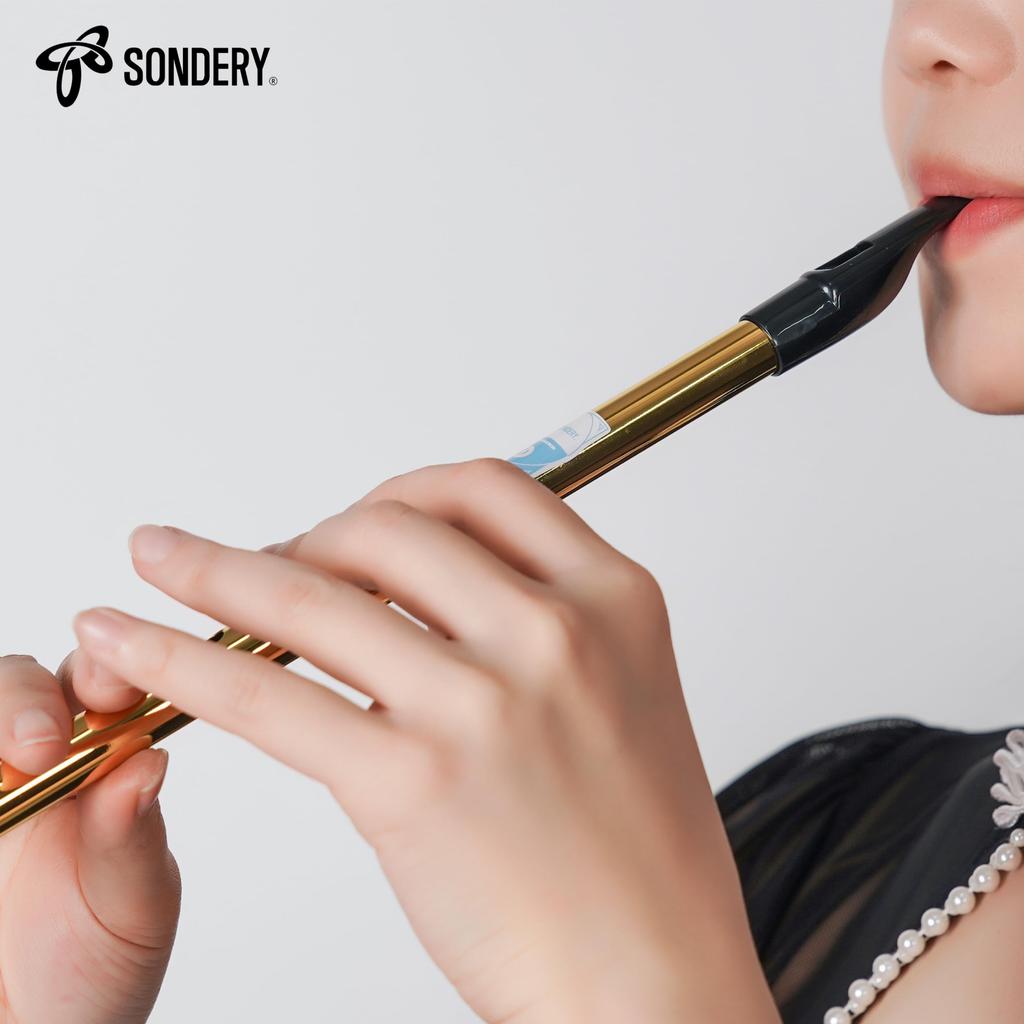 Свисток Sondery Tin Whistle из латуни D-образной формы, золотистого цвета