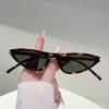 Rivet Vintage Triangle Cat Eye Sunglasses Women For Men Luxury Brand Designer Sun Glasses Punk Popular Hip Hop Eyeglasses Uv400