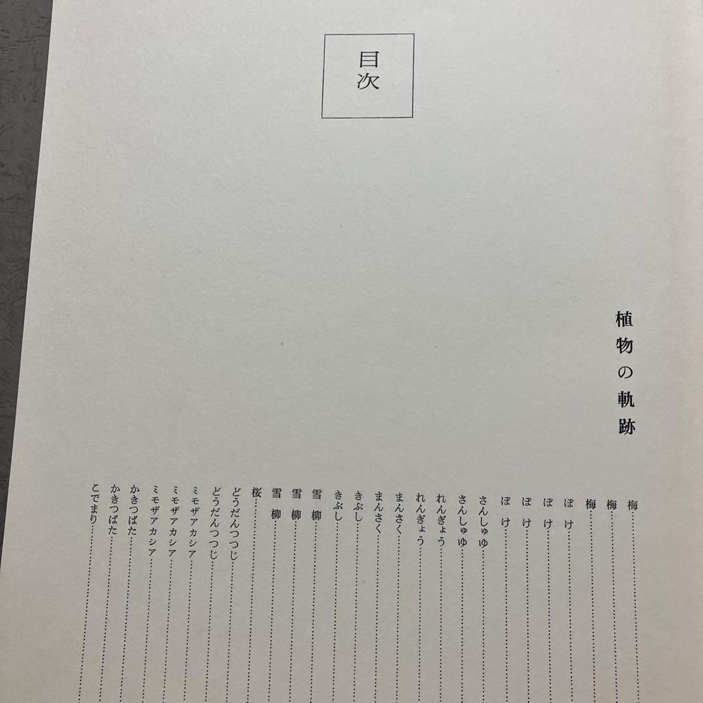 [Б/У] Ryuseiha Цветы Весны Фотоколлекция