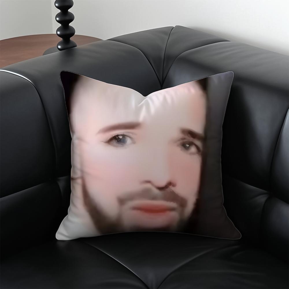 funny ddrake meme Cushion Cover Pillow Case Antidustmite Invisible zipper silky plush cushion