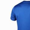 Puma Stripe Logo Embroidered Short Sleeve Football Jersey Player Version 16-17 Season Italy National Team Home Men Tops Blue 748933-01