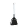 Nihon Clean Tech Black Fern Broom and Dustpan Set