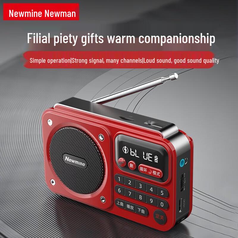 Портативное радио и Bluetooth-колонка Newmine N123, штекер CN (адаптер в комплекте) (Китайская версия)