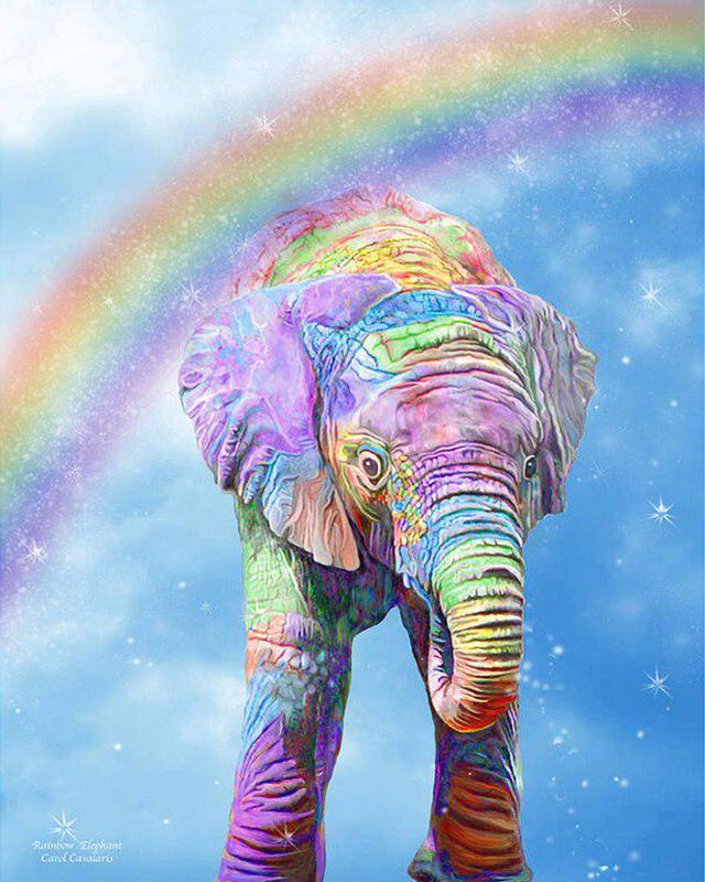 5D Алмазная вышивка Слон Полный квадратный круглый вышивка крестиком Алмазная картина Животное Мозаика Рукоделие Украшение дома