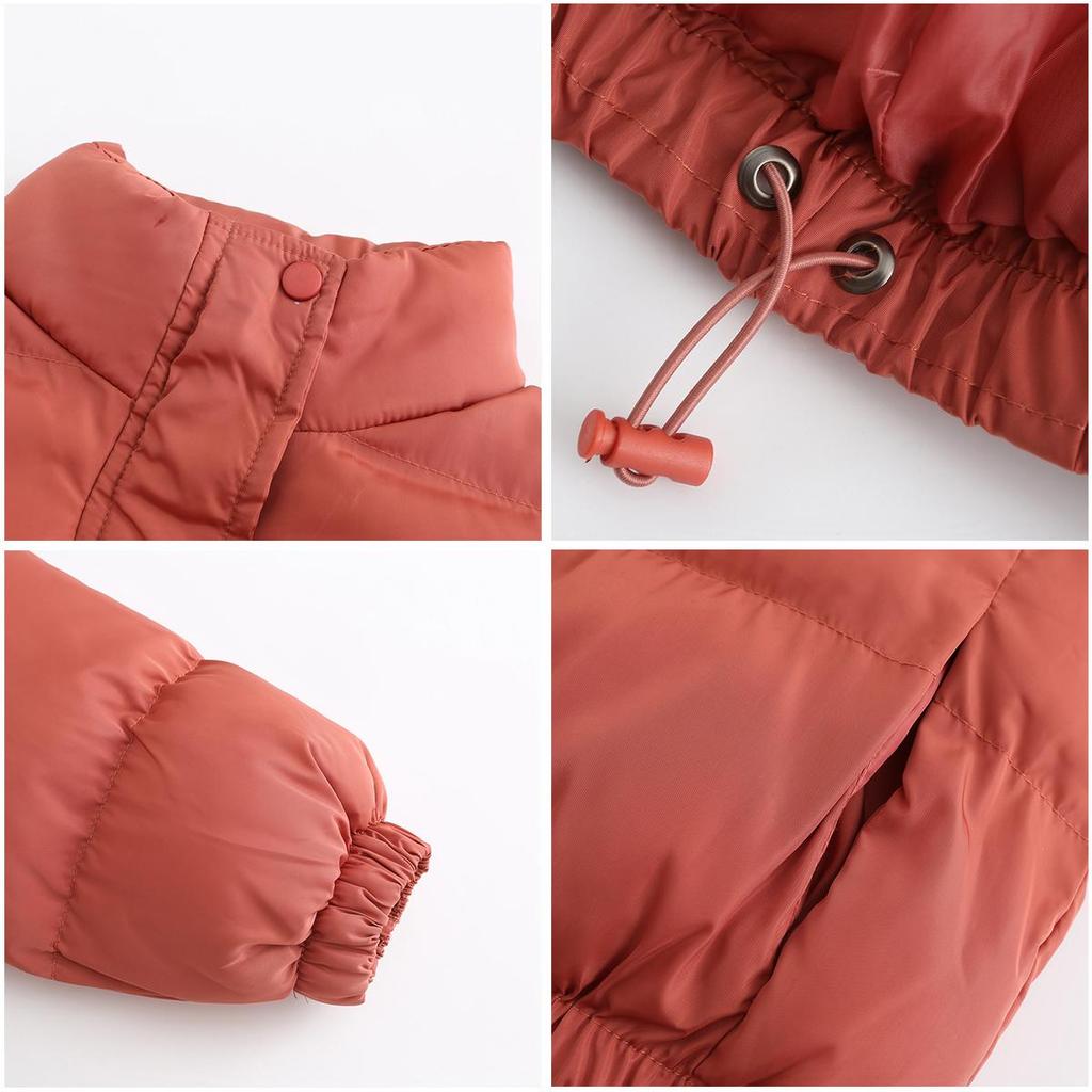 Женские базовые куртки с высоким воротником на молнии с длинными рукавами, теплое короткое пальто, хлопковая толстая куртка, осень-зима, повседневная стильная свободная верхняя одежда