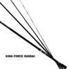 DAIWA 21 King Force Ishidai MH544