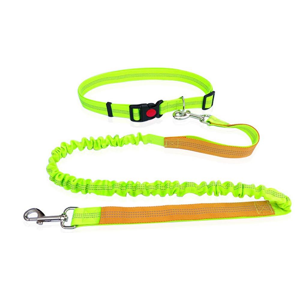 Double Stretch Pet Walking Leash Waist Belt Dog Traction Rope Hand Free Dog Leash  Jogging