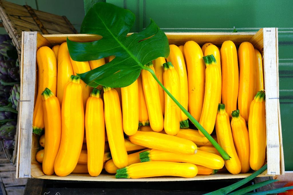 SAFLAX Garden in the Bag - Органический - Кабачок - Золотая лихорадка - 5 семян - С субстратом в подходящем стоячем пакете - Cucurbita pepo