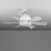 Silent Removable Fan Blade Fan Light Six Blade Fan Light 3000K-6500K Color Temperature Adjustable