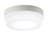 Ceiling Light for Washroom LSEW4062LE1 Daylight White Depth Height Width Body 26.5cm Body 11.8cm Body 26.5cm