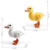 Simulation Poultry Farm Pasture Animal Model Yard Little Duck Yellow Duck White Duck Static Ornament Toy