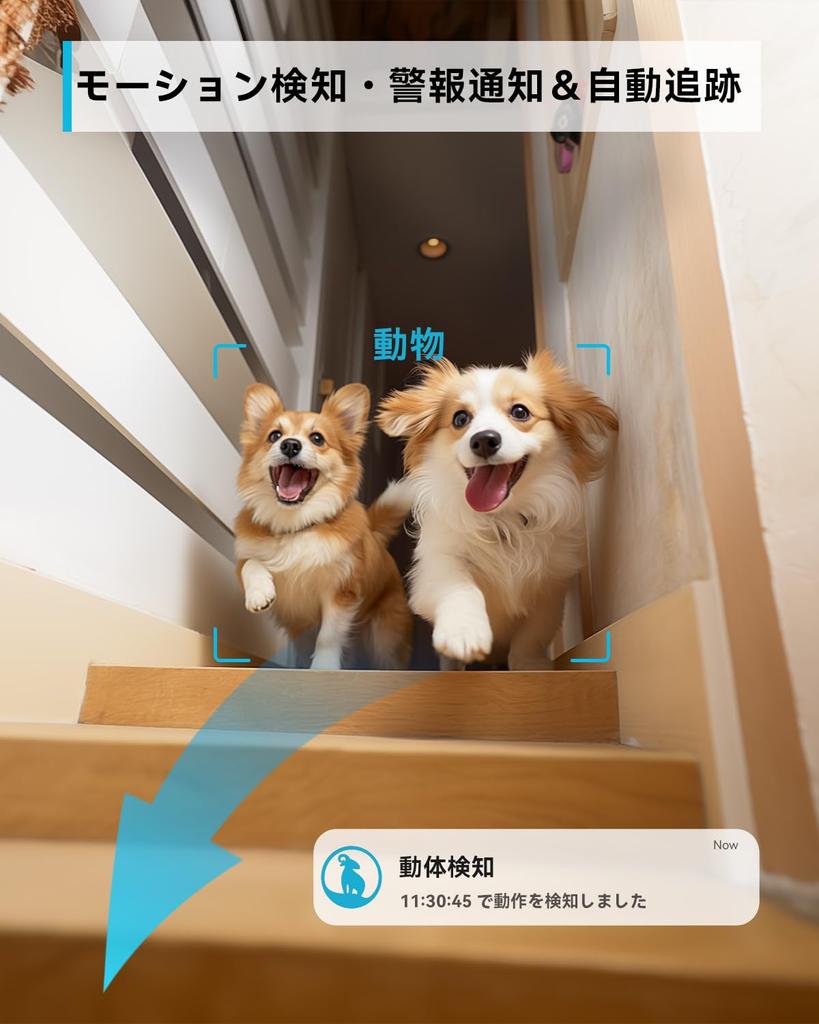 Новейшая цветная ночная камера для наблюдения за домашними животными камера наблюдения камера безопасности внутренняя камера автоответчика blurams автоматическое отслеживание обнаружение человека PTZ