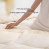 Luolai Home Textiles All-Season Washable Cotton Quilt