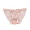 Pure Desire Lace Transparent Sexy Low Waist Girls' Panties Leopard Print Mesh Breathable Seamless Triangle Women's Panties