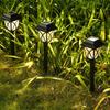 Солнечные садовые фонари LED 2 шт. Уличные ландшафтные светильники для дорожек Водонепроницаемые солнечные садовые светильники для двора, сада, дорожки, патио, подъездной дорожки