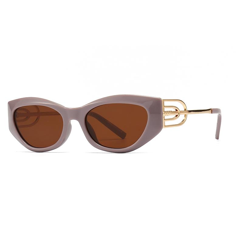 Specially Designed For Angular Cat-Eye Sunglasses Modern Retro Temples With Jumping Shape Decorative Sunglasses Lh