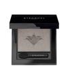 Тени для век Stendhal Magnifying Eyeshadow 501 Platine 2,5 г