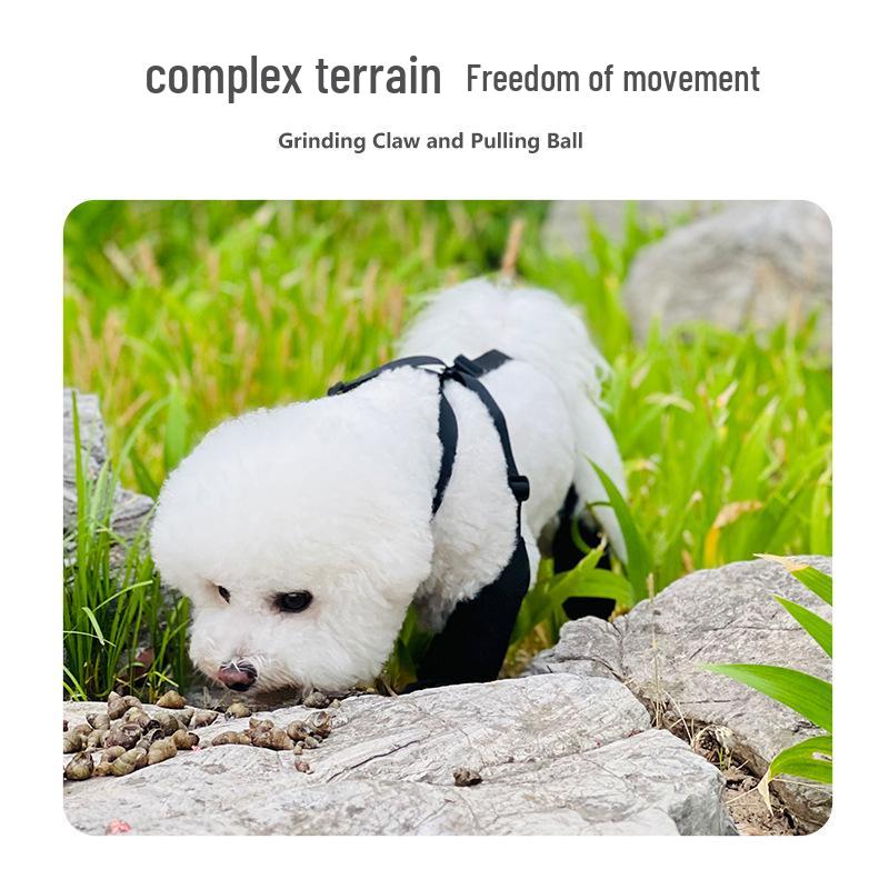 Four Seasons Waterproof Anti-Slip Dog Boots: Durable Pet Shoes for Outdoors