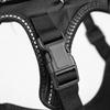 Two-Part Dog Support with Front Walking Section, Rear Support Section, and Side-Release Buckles for Daily Use