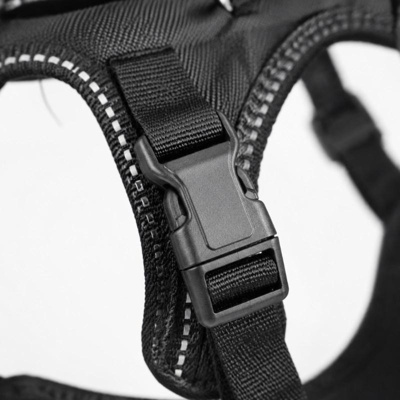 Two-Part Dog Support with Front Walking Section, Rear Support Section, and Side-Release Buckles for Daily Use