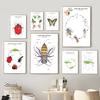 Cartoon Insect Bee Butterfly Ladybug Nursery Wall Art Canvas Painting Animals Posters And Prints Wall Pictures Baby Kids Decor