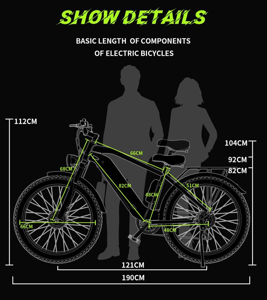 DUOTTS F26 Electric Bike 750W*2 Dual Motors LG 17.5Ah Battery 26*4.0 Fat Tire 55km/h Max Speed 55 Degree Climbing-Silve